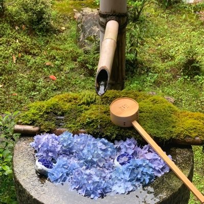 The_worldpeople's profile picture. もしもの時の避難用。