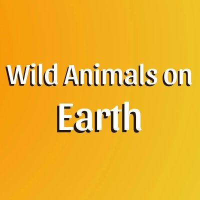 #wild #animals #earth