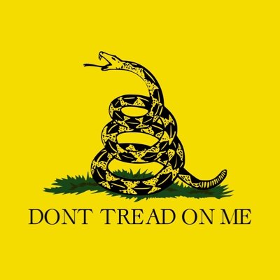 Former political columnist; veteran of political campaigns; strict constructionist; novelist; Preferred pro-nouns: Chiefs/Royals