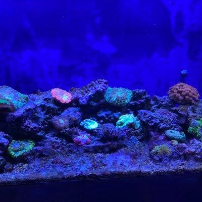 greentea_gogo's profile picture. 成人済shipper:ペコ(@akatsuki9192) の創作アカウント。イベント宣伝や小噺用🏳️‍🌈トランス差別を含むあらゆる差別に反対します。普段はblue skyにいます。 https://t.co/lE2nnFmh3k