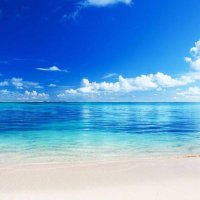 باسم الجوف (@aljoufbasm) 's Twitter Profile