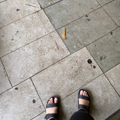 greenlibrary8's profile picture. 