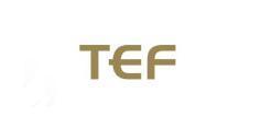 Offizieller Twitter-Kanal der Trans Europe Financials GmbH.