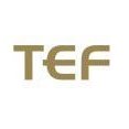 TEF (@public_finance) Twitter profile photo
