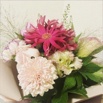 rei620m's profile picture. former finance @twitterjp