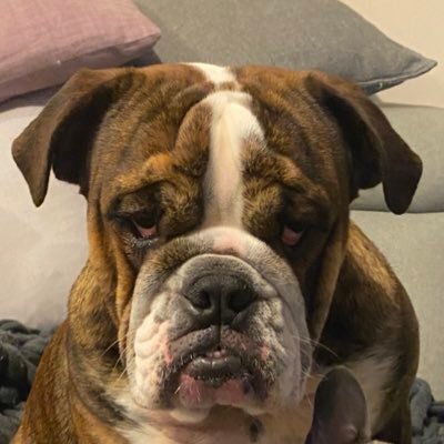 MarianoLobos9's profile picture. 