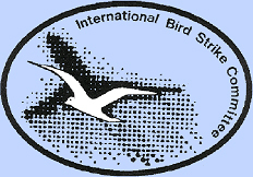 IntBSC's profile picture. 