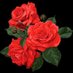 ๐ธ๐๐๐๐๐ฌ๐๐๐ (@mawarar97917040) Twitter profile photo ๐ธ๐๐๐๐๐ฌ๐๐๐ (@mawarar97917040) Twitter profile photo