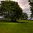 AllendaleGolf's profile image