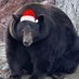healbear (@alive_with_me) Twitter profile photo healbear (@alive_with_me) Twitter profile photo