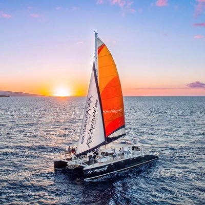 Eco-friendly Luxury 65’ Catamaran
🤿 Snorkel 🐢 Swim with Turtles
🐋 Whale Watch 🌅 Sunset Tours