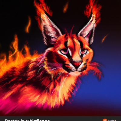 idislikeithere0's profile picture. 