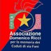 Associazione Domenico Ricci (@AsDomenicoRicci) Twitter profile photo