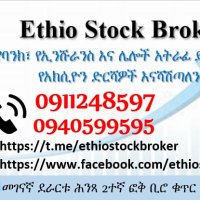 Ethiopian Stock Broker(@Ethio_stock1) 's Twitter Profile Photo