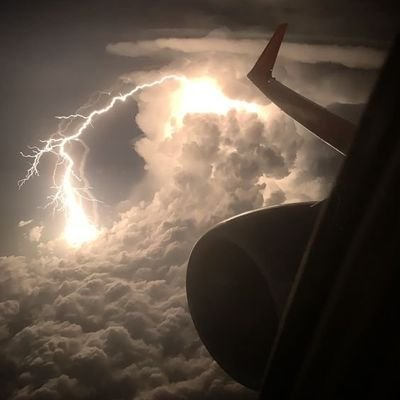 ExchequerPablo's profile picture. Anti establishment dude body language reader.