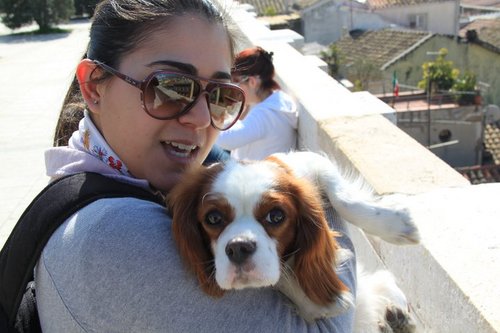 Stefania_Serra's profile picture. 