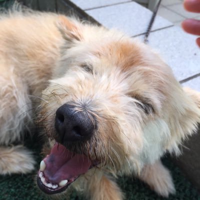 9pc0ODGoX2wRPY2's profile picture. 福岡県出身、奈良県在住の旅や食べ歩きが大好きなオヤジです。最近、政治の面白さに目覚めてきました👀✨ 偏向報道なんか要らない‼️