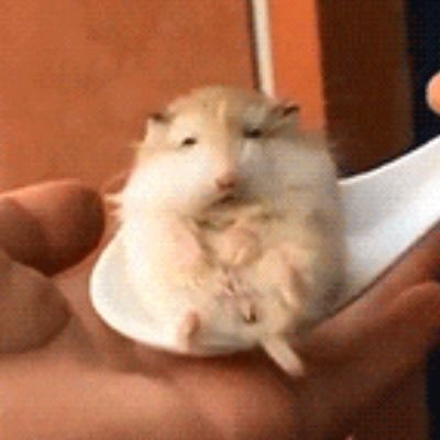 ひとじんじんさんのプロフィール画像