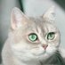 IT' SAM (@bhsummon) Twitter profile photo IT' SAM (@bhsummon) Twitter profile photo
