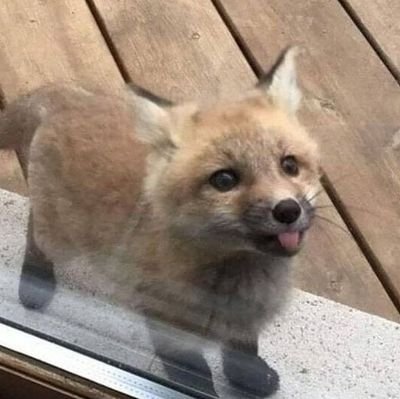 weunwww's profile picture. 개발공부와 약간의 일상생활