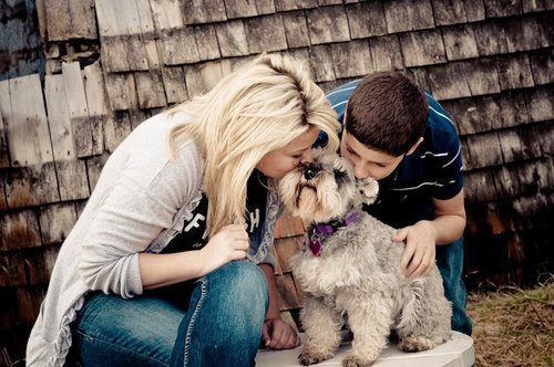 alysonkitchen's profile picture. 