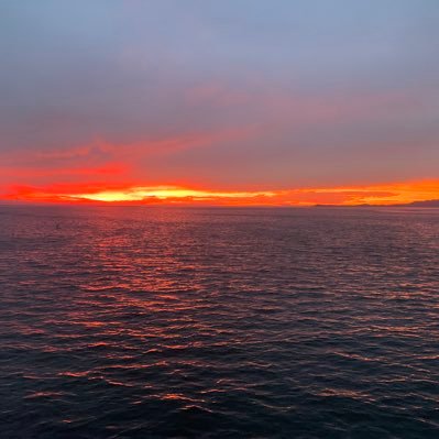 ky66436455's profile picture. よろしくお願いしますー