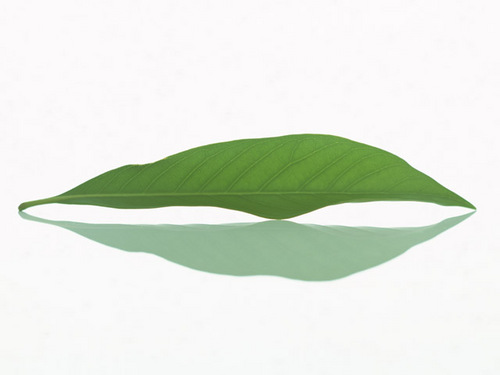 kanako_maeda's profile picture. はじめましてっ！
ずっと亡くしたと思っていたピアスの片方を見つけた時
捨てないで取っておけばよかったと後悔する・・・・
こんなことありませんか？
Kanakoのこんな日常をつぶやきます。