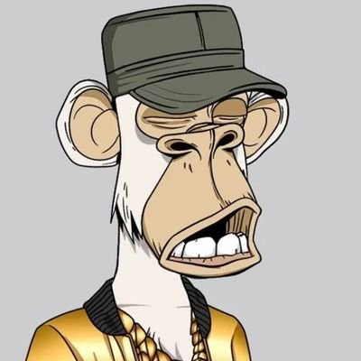 Dolkisya's profile picture. NFT MANAGER SINGAPURE