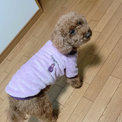 i3WUuVMAvFpbY2I's profile picture. 