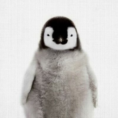 rVljVhOqhLOb84k's profile picture. 映画、演劇、洋楽大好き