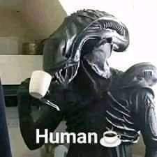 Qirien50's profile picture. 日本に行きたいなぁ〜! Weaboo, Shit ton of RTs of almost anything I see (B4), No Life, PH Stronkest Race, Cansur, Shitpost, たくさんなアニメが見ました！
Chryen50#EUW