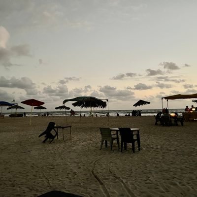 sussegaad's profile picture. former blue tick