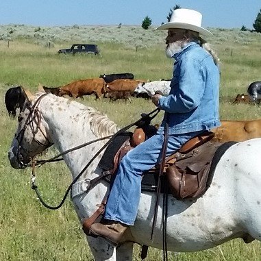 Christian/husband/dad/granddad. Retired. 30-yr trial-lawyer. Conservative. Pureblood. Fervent supporter of ISR. Learning how to spin (fiber). Sorry, I don't DM.