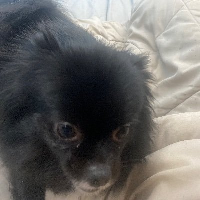 salm0net3's profile picture. cagaste😎