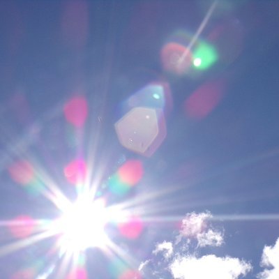 MaryAnn48194819's profile picture. Praying for wisdom & discernment for all.  That the Spirit of Truth completely engulfs us. Keeping us fully honest with ourselves and each other.