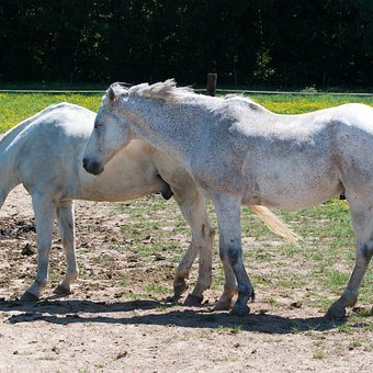 EliasDa40228526's profile picture. 