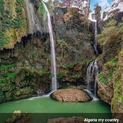 ShaybAlras's profile picture. نفيسة ضعيفة ورب غفور
اللهم اصلحني بما اصلحت به الصالحين من عبادك