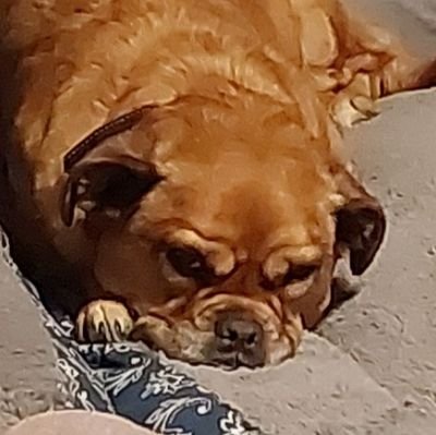 WarriorXSage's profile picture. 