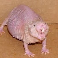 marwhz2's profile picture. Mar
Tt:mariawhz2