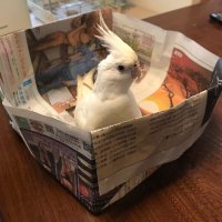 クロ (@portable_game) 's Twitter Profile