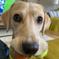 Steve Phillips (@stevep_1973) 's Twitter Profile