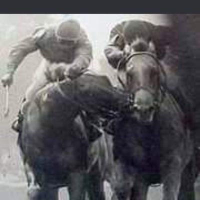 Annshoon Stud Profile