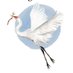Dorothy Dowling (@dorothy58128385) Twitter profile photo Dorothy Dowling (@dorothy58128385) Twitter profile photo