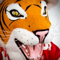 Ezry The Tiger(@EzryTheTiger) 's Twitter Profile Photo