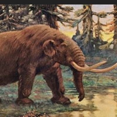 Eiffel03325362's profile picture. parti sur masse taux donte.  @eiffel@mastouille.fr