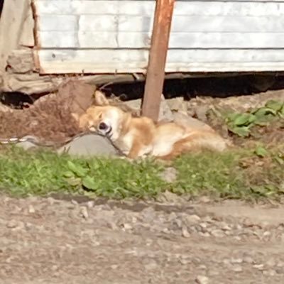 北海道十勝で農業をしながら戸建て賃貸を運営しております。33歳。戸建て15戸。とりあえずの目標は戸建て30戸。