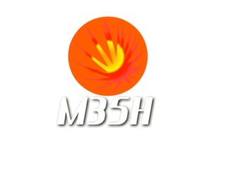 Mesh focuses on 3 core product offering. Sales Strategy, Sales Delivery, and Vendor Management. Our goal is to make our clients more effective.