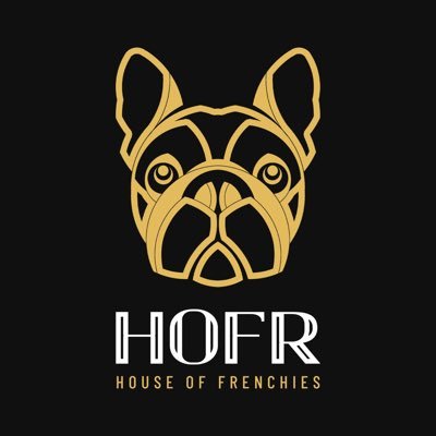 frenchiesdog's profile picture. 