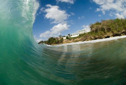 ale_pape's profile picture. 