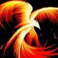 Phoenix firebird (@phoenix009613) 's Twitter Profile